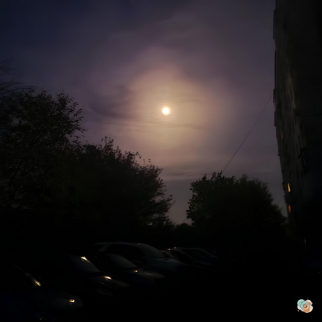 Обкладинка: Can't Sleep — Turtle Vibes