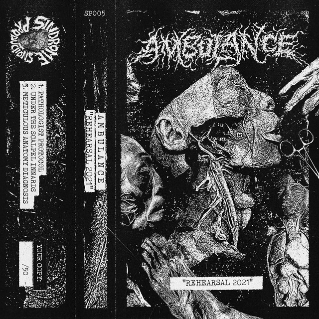 Demo Rehearsal cover art