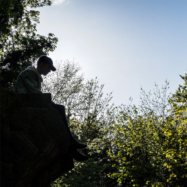 Designated cover art