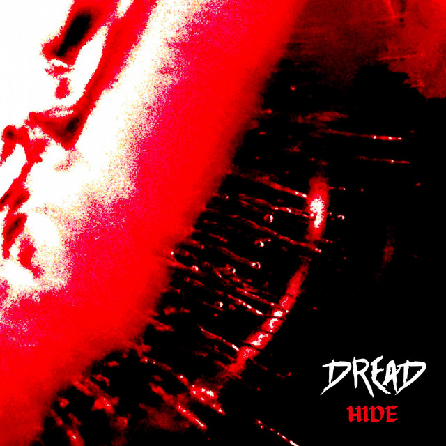 Hide