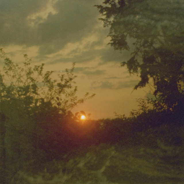 Olema cover art
