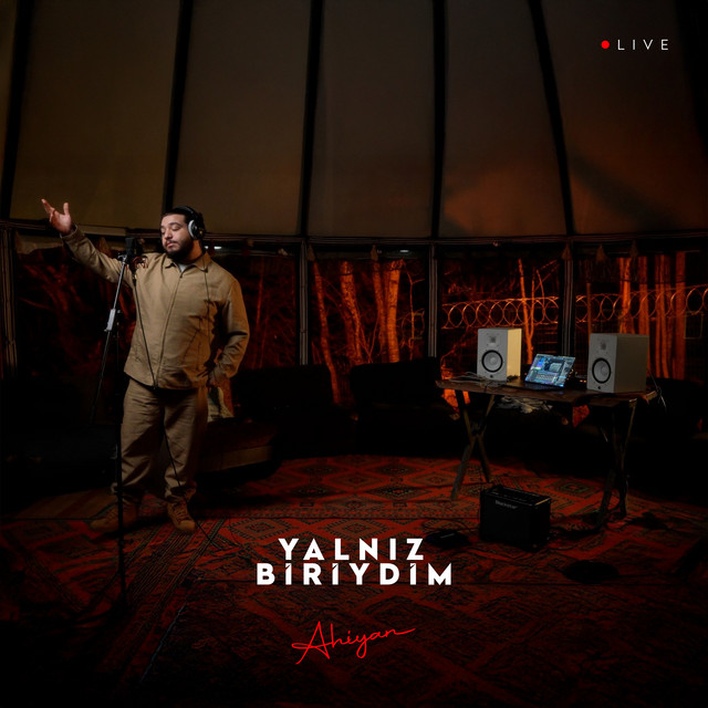 Yalnız Biriydim (Live) cover art