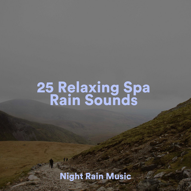 25 Relaxing Spa Rain Sounds - Album by Sonido de lluvia | Spotify