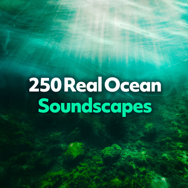 ! ! ! ! ! ! ! 250 Real Ocean Soundscapes ! ! ! ! ! ! ! cover art