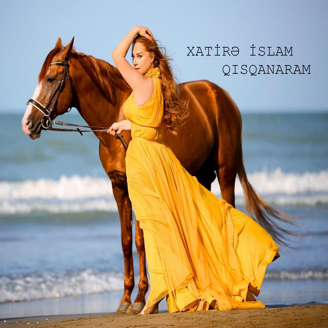 Qısqanaram cover art
