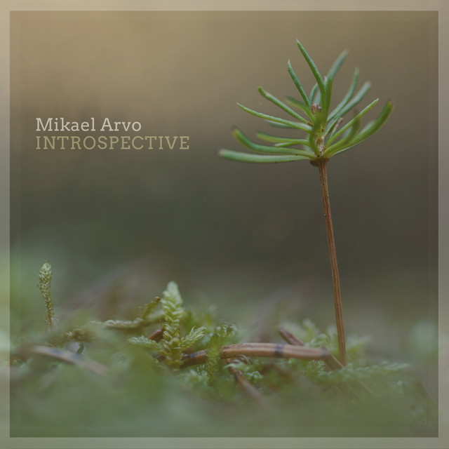 Introspective by Mikael Arvo