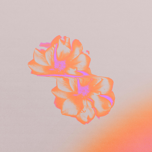 Mirrors cover art