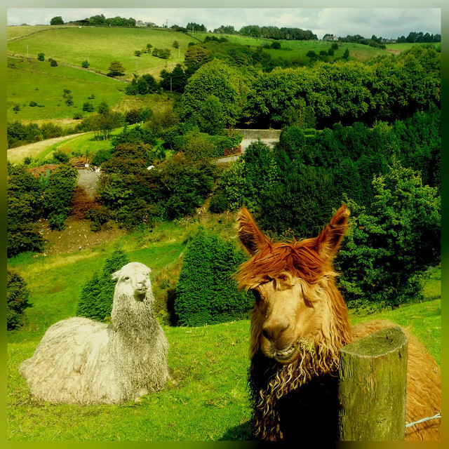 Version Control cover art