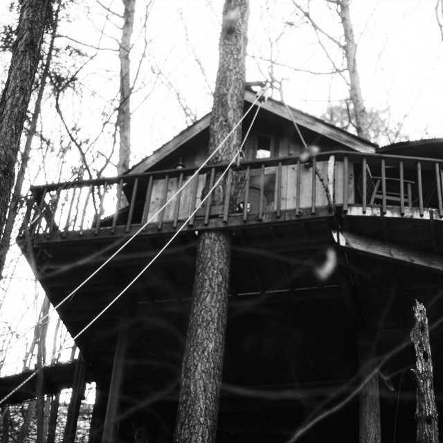 Scenes From the Treehouse cover art