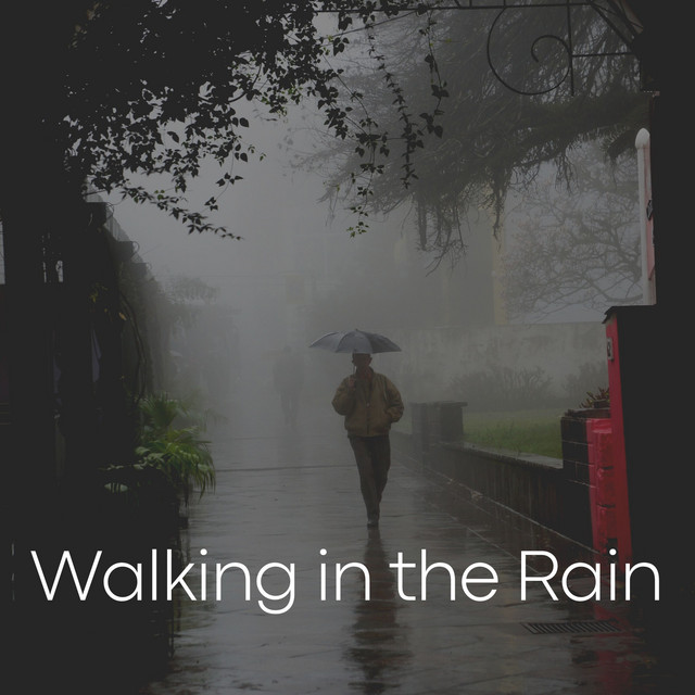 Walking in the Rain cover art