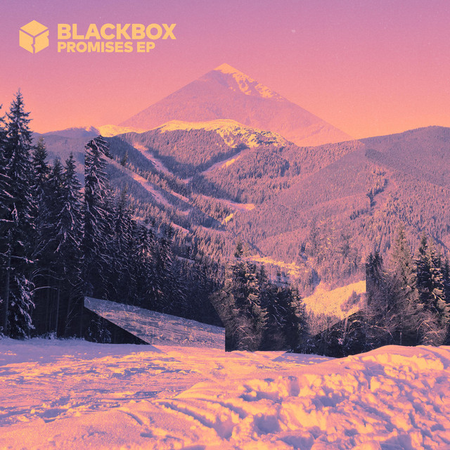 Обкладинка BlackBox — Promises