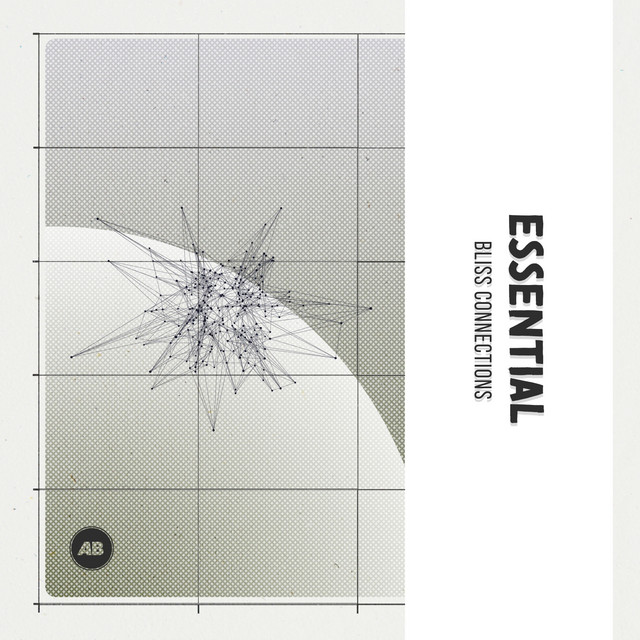 Essential Bliss Connections cover art