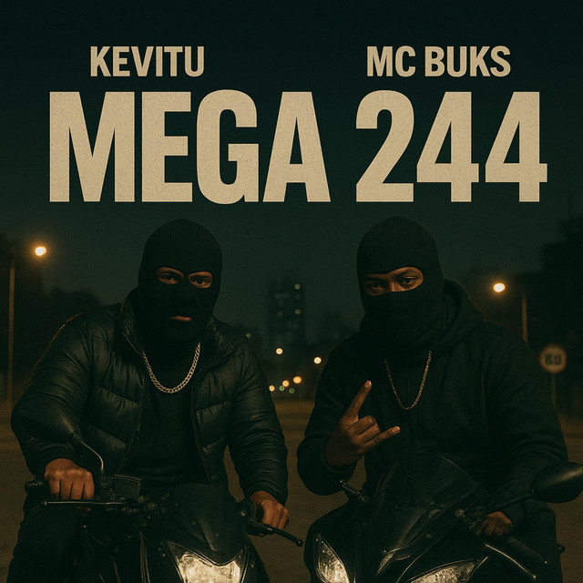 MEGA 244