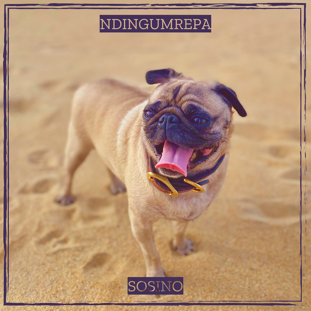 Ndingumrepa cover art