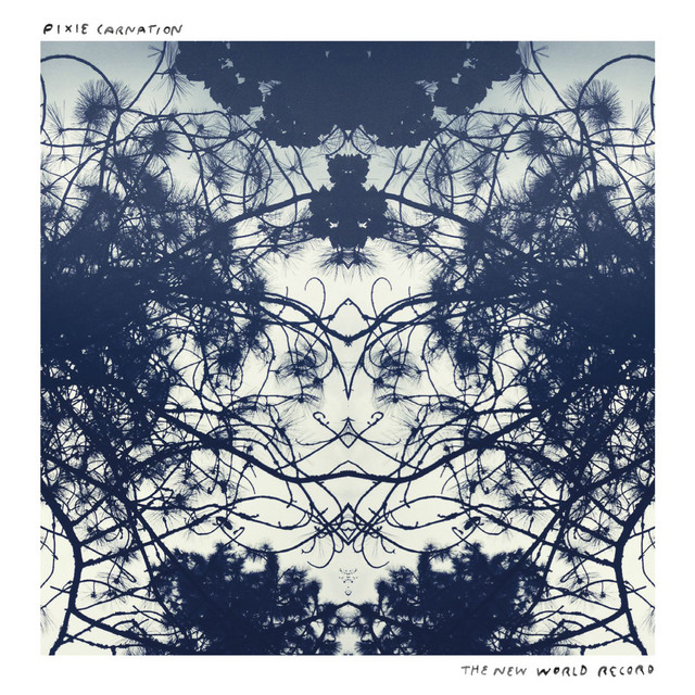 The New World Record cover art