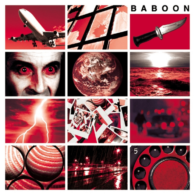Baboon cover art