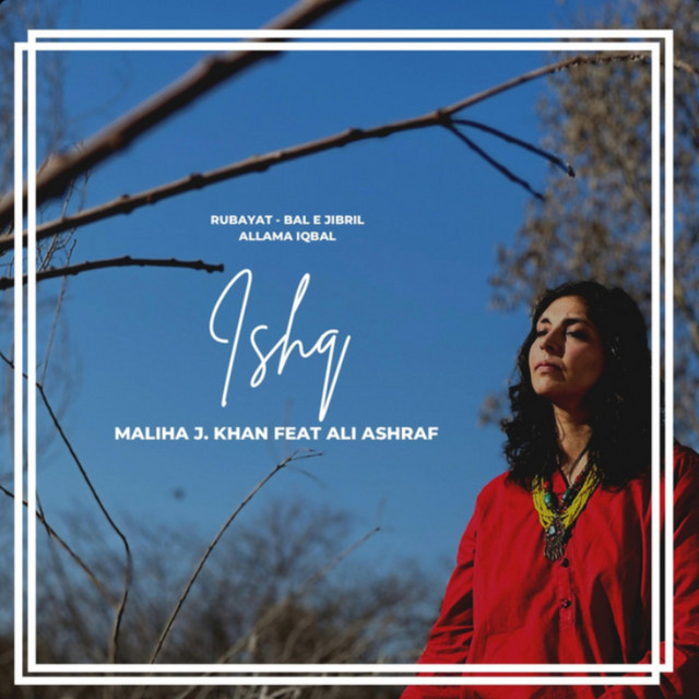 Ishq (feat. Ali Ashraf)