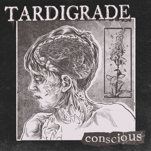 Conscious cover art