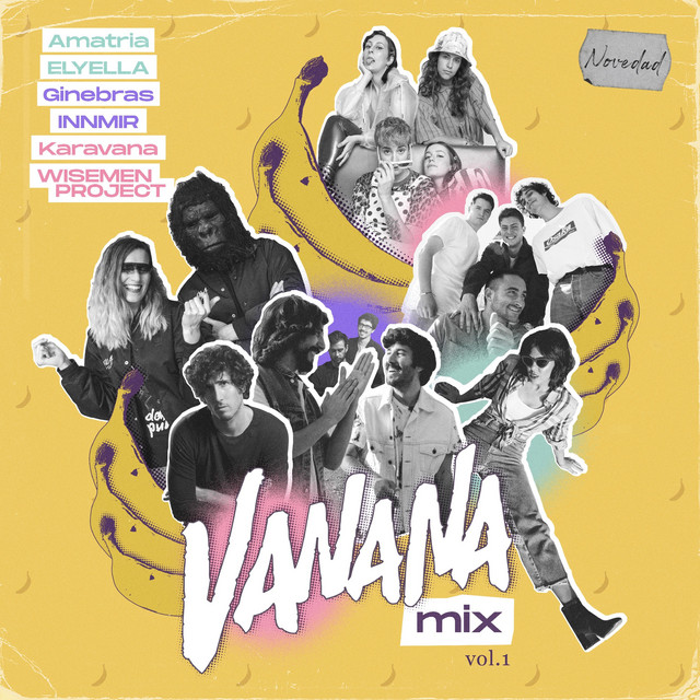 Vanana Megamix cover art