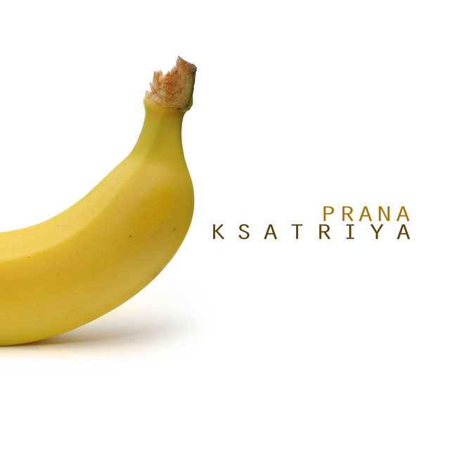 Prana cover