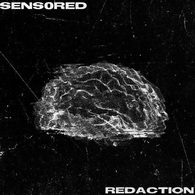 REDACTION - Single by SENS0RED | Spotify