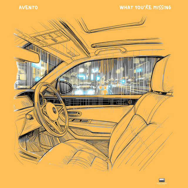 What You're Missing cover art