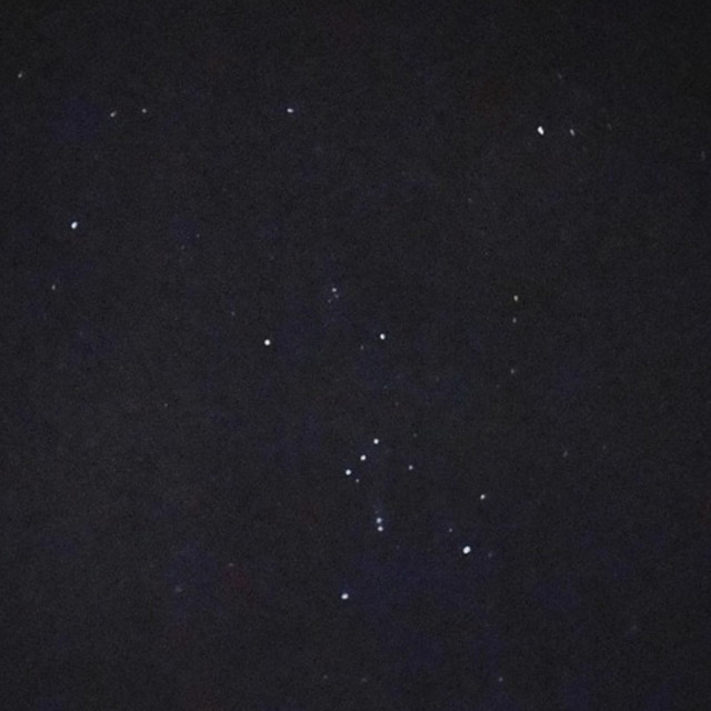 Malady