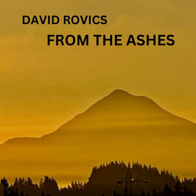 From the Ashes - Album by David Rovics | Spotify