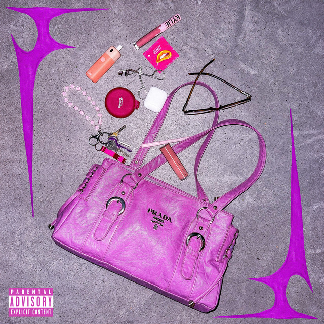 PRADA BAG cover art