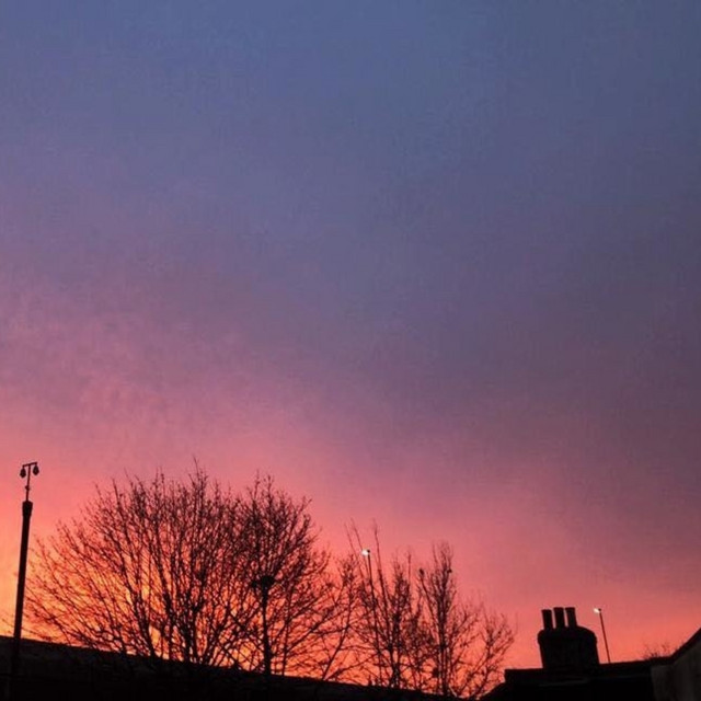 Sunset cover art
