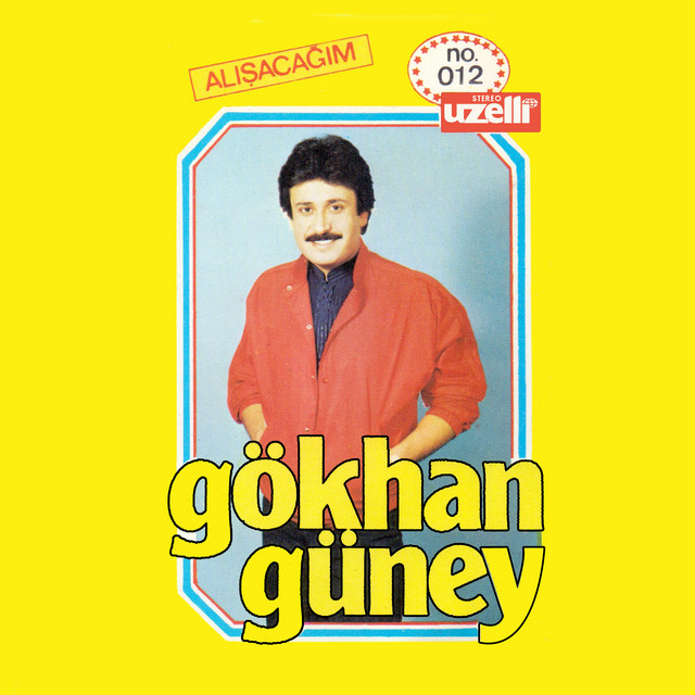Alışacağım cover art