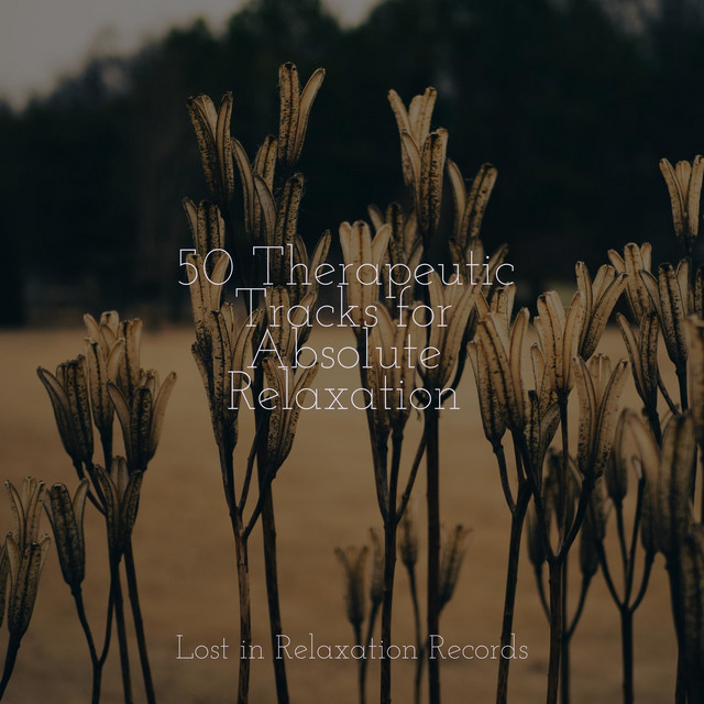 50 Therapeutic Tracks for Absolute Relaxation - Album by Música Para ...