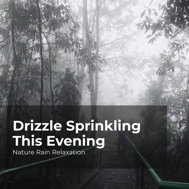 Drizzle Sprinkling This Evening - Album by Nature Rain Relaxation | Spotify