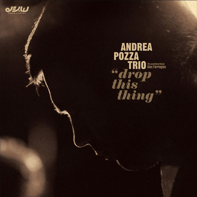 Drop This Thing cover art
