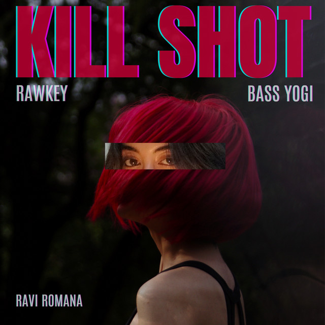 KILL SHOT cover art