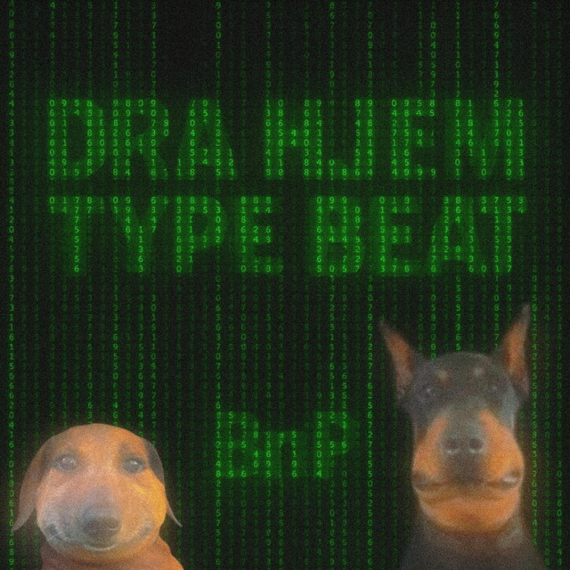 Dra Hjem Type Beat cover art