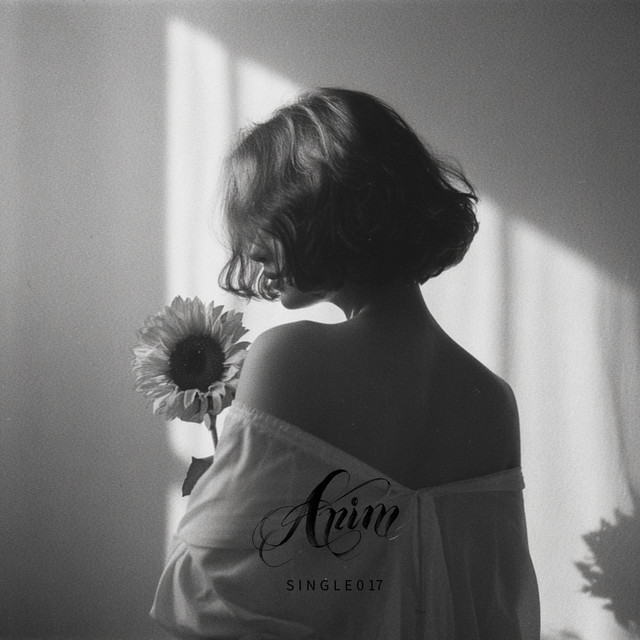 아림뮤직 Arim Music