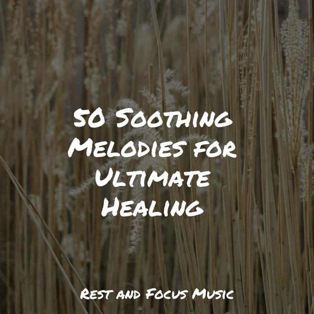 50 Soothing Melodies for Ultimate Healing - Album by Massage Music ...