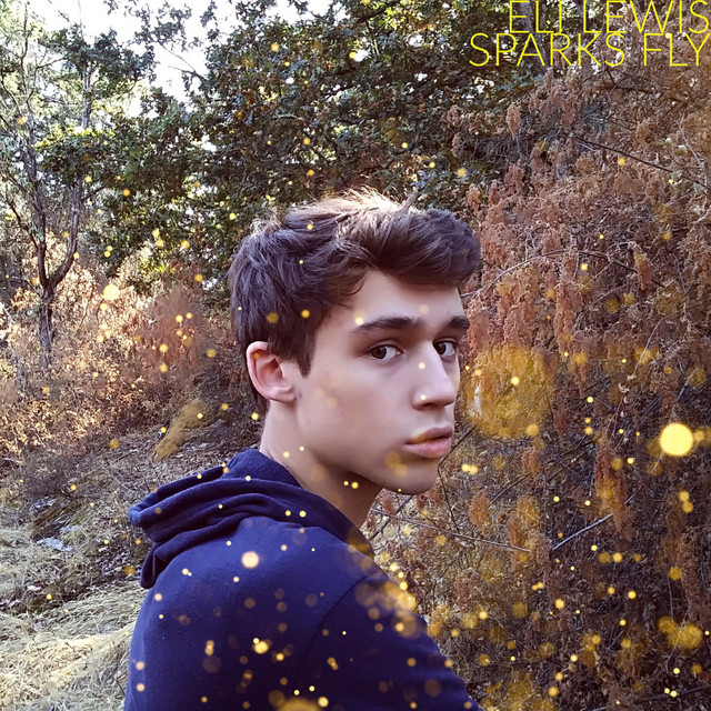 Sparks Fly cover art