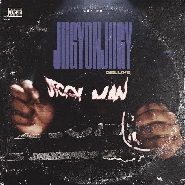 JIIGYONJIIGY (DELUXE) cover art