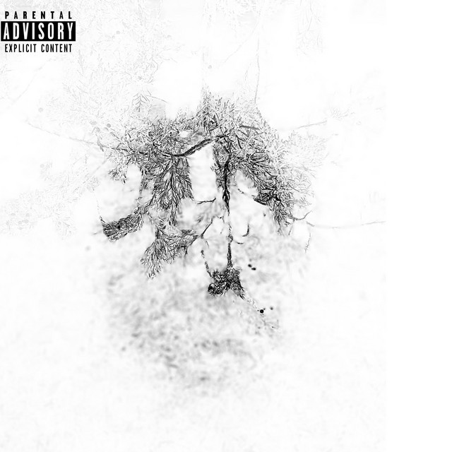 Armor cover art