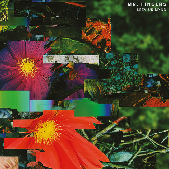 Leev Ur Mynd artwork