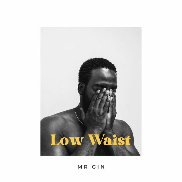 Mr Gin