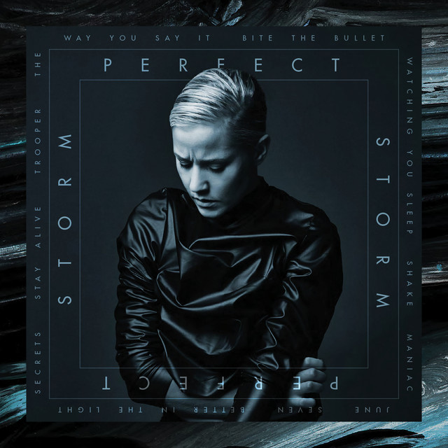 Perfect Storm cover art
