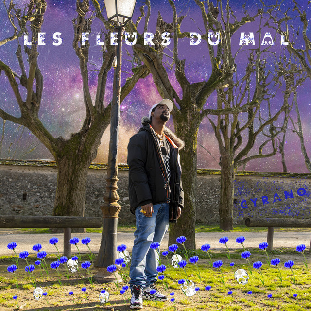 Les fleurs du mal cover