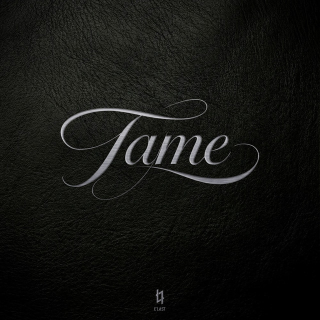 2nd Single [Tame] cover art