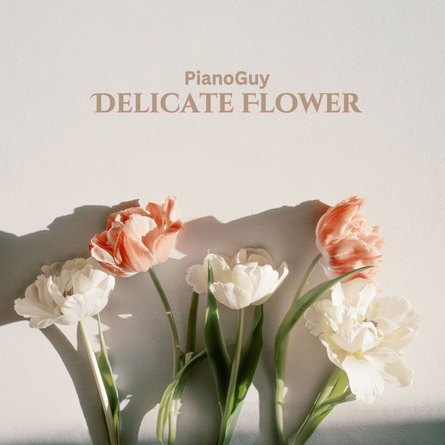 Обкладинка: Delicate Flower — PianoGuy