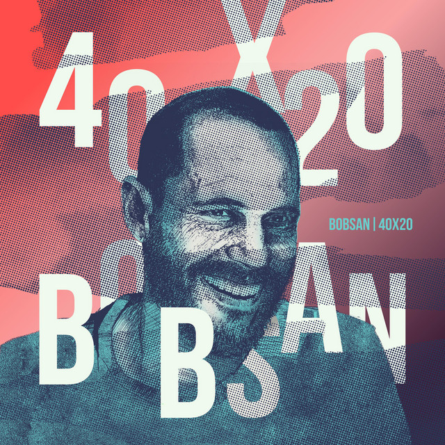 40x20 cover art