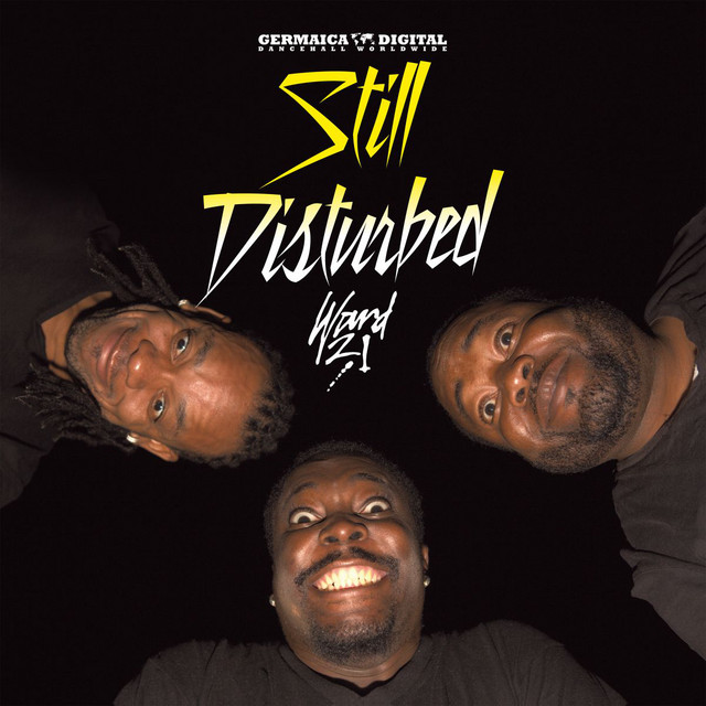 Still Disturbed cover art