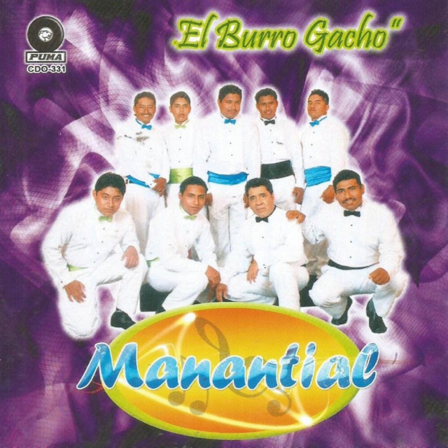 El Burro Gacho album image